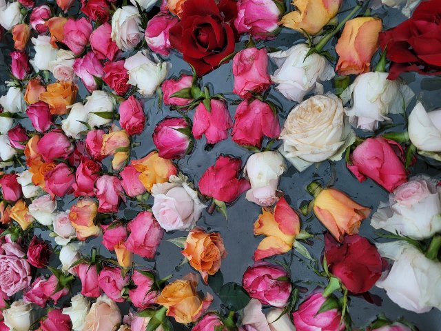 20260401 193403 480x640